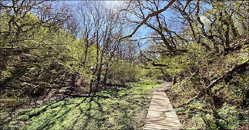 Vandreophold i den skønne nordjyske natur ved Slettestrand